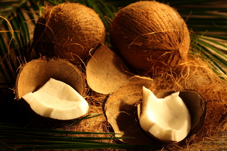 coconut-oil_top.jpg